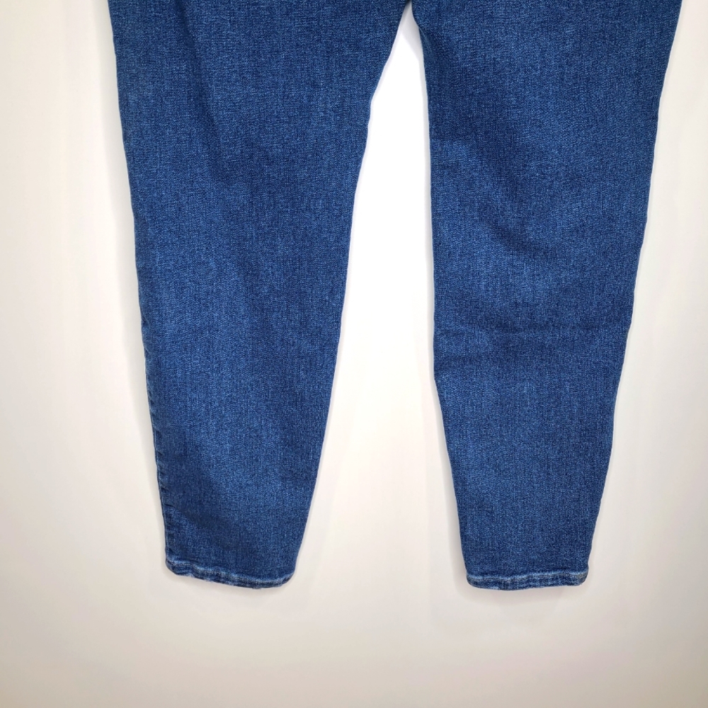 Lane Bryant Plus Size Mid Rise Distressed Skinny Jeans - Picture 8 of 10